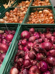 Fresh onions in various colors, including red and yellow, are displayed in green crates at a market, showcasing vibrant textures and natural produce arrangement