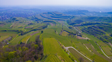 Weinberge Reben von oben Drohnenaufnahmen
