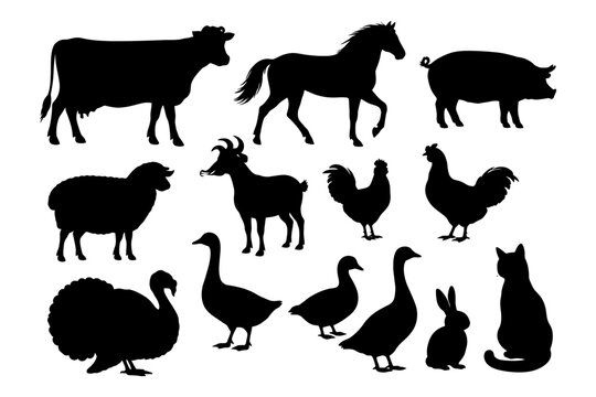 Silhouettes of farm animals on white background.