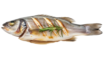Grilled sea bass with rosemary isolated PNG, delicious cooked fish on transparent background, healthy seafood dish for restaurant menu
