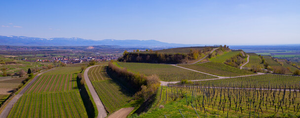 Weinberge Reben Winzer