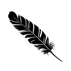 Fototapeta premium Silhouette of a Feather Against a Plain Background With a Focus on the Shape and Details of the Lines in the Feather
