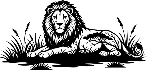 Fototapeta premium Black and White Lion Silhouette Resting on Savannah Grass