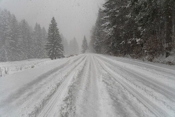 Obraz premium A beautiful shot of a road leading through snowy trees
