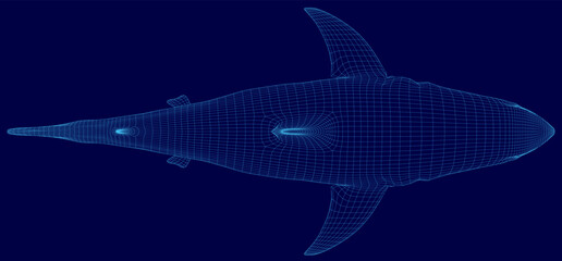 A great white shark wireframe model is realistically rendered in 3D on a solid blue background. Top view © German Ovchinnikov