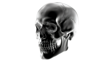 Abstract Liquid Style Skull Outline in White on transparent Background