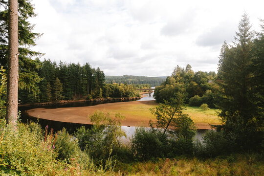 Forest paths and woodland scenery in Kielder Forest, Northumberland, UK.