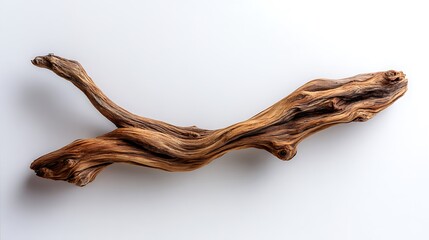 Close-up studio shot of a weathered driftwood branch, with intricate details against a white background