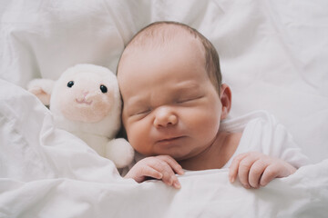 Newborn sleep at first days of life. Portrait of new born baby one week old with cute soft toy in crib in cloth background.