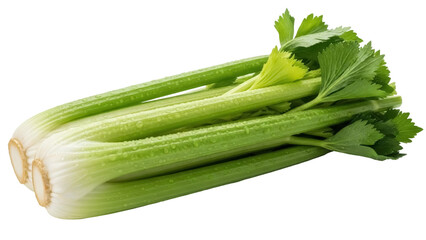 Fresh green celery stalks isolated PNG, healthy vegetable with water droplets on transparent background for cooking and healthy eating © Nicolae