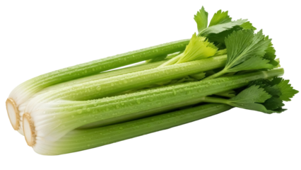 Fresh green celery stalks isolated PNG, healthy vegetable with water droplets on transparent background for cooking and healthy eating