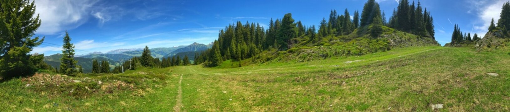 Panoramic view of a lush alpine meadow and forest landscape in spring