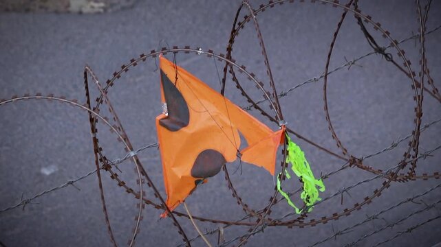 Burst kite stuck in barbed wire fence in India during kite festival season. Strong visual of celebration, danger, urban environment, sharp wires, and street safety captured in close detail.