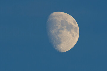 Zunehmender Mond bei Tageslicht