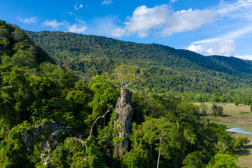 Fototapeta premium A solitary tree stands on a dramatic limestone rock formation surrounded by dense tropical forest, with rolling green hills and open fields under a bright blue sky. The landscape features vibrant