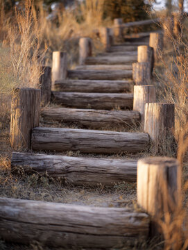 Rustic wooden steps leading through dry grass in a natural outdoor setting during golden hour with warm sunlight illuminating the scene
