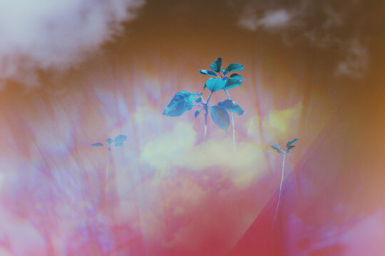 abstract watercolor background with flowers