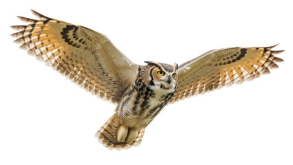 Great horned owl flying PNG isolated on transparent background, majestic bird of prey with outstretched wings for wildlife and nature designs © Nicolae