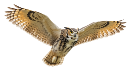 Great horned owl flying PNG isolated on transparent background, majestic bird of prey with outstretched wings for wildlife and nature designs