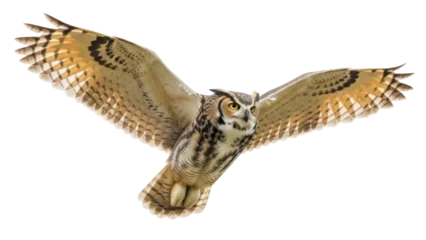 Fototapeten Eule Great horned owl flying PNG isolated on transparent background, majestic bird of prey with outstretched wings for wildlife and nature designs  © Nicolae