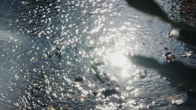 Sun sparkling and glistening on river water surface