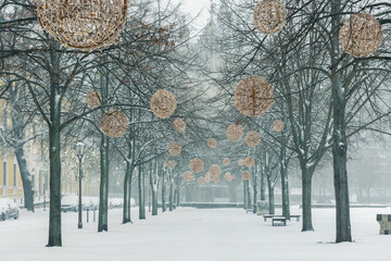 Snow covered Domplatz Magdeburg tree lined alley decorated by glowing festive ornaments creates calm winter city atmosphere. Historic urban square snowfall silence seasonal beauty European heritage