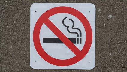 No Smoking Sign indicating a smoking prohibition in the area. The sign is set against a backdrop, which creates a visible contrast