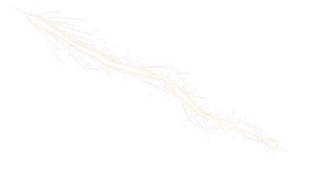 White sparkler trail with glowing embers isolated on a transparent background firework