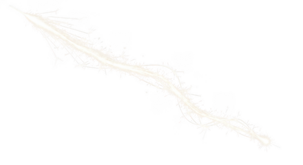 White sparkler trail with glowing embers isolated on a transparent background firework