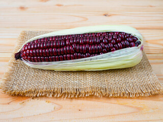 Purple corn or purple maize