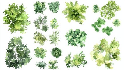 Explore diverse greenery with this aerial watercolor illustration of trees, bushes, and shrubs designed for landscape planning, all isolated on a white background to showcase detail