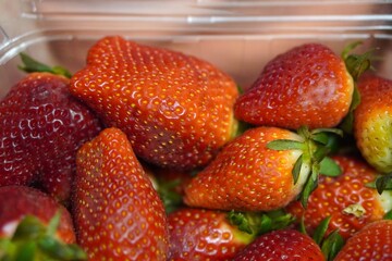 Close-up of fresh ripe strawberries in a plastic container. Juicy red berries with seeds and green leaves, natural texture and vibrant color. Healthy food, organic fruit, summer harvest, freshness 