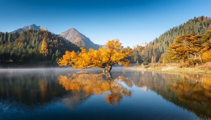 serene mountain lake reflection with golden tree under a morning sun and misty atmosphere