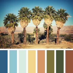 Palm trees retro palette