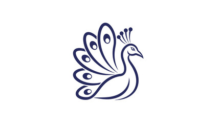 Fototapeta premium Elegant Peacock Illustration with Intricate Feather Details on White.