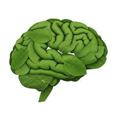 Green leaf brain isolated on transparent background