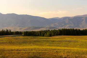 Scenery of pine forest, spacious valley and mountain slopes