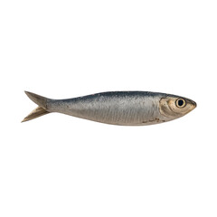PNG Realistic shiny silver fish