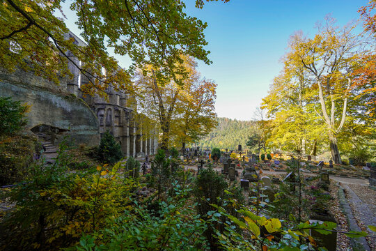 Oybin Berg Bergkirche Zittauer Gebirge Sachsen Deutschland Burgruine Kur Klosterruine
