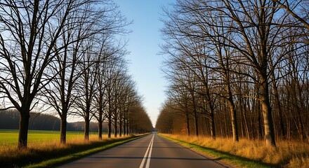Fototapeta premium Road lined with bare trees leads towards horizon under clear sky