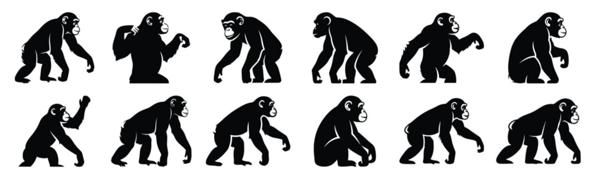 chimpanzee silhouette vector icon set, black clipart collection, Animal silhouette icons illustration graphic design