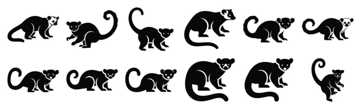 kinkajou silhouette vector icon set, black clipart collection, Animal silhouette icons illustration graphic design