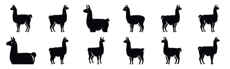 Obraz premium llama silhouette vector icon set, black clipart collection, Animal silhouette icons illustration graphic design