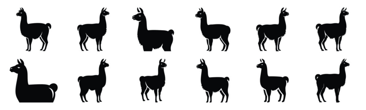 llama silhouette vector icon set, black clipart collection, Animal silhouette icons illustration graphic design