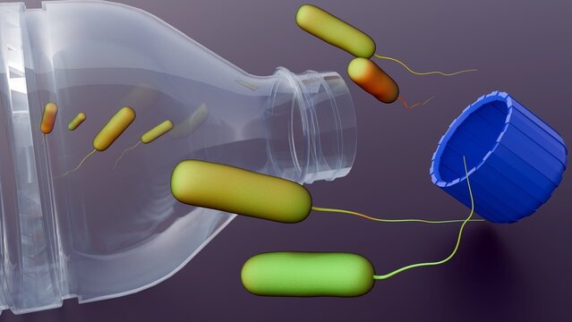A 3d rendering of Ideonella sakaiensis can break down polyethylene terephthalate (PET) the material used to make single-use water bottles and use it as its primary source of energy and carbon.