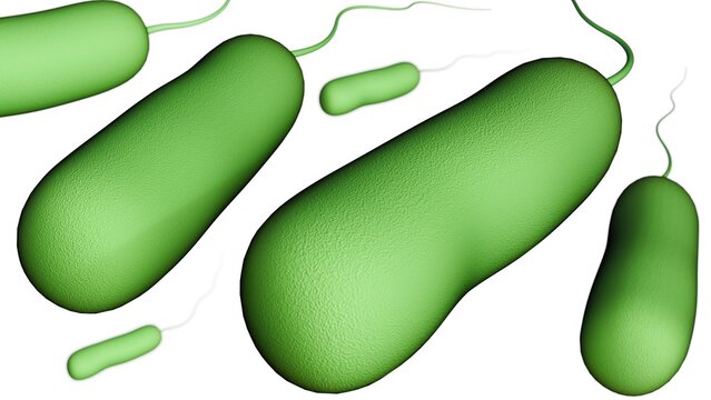 A 3d rendering of Ideonella sakaiensis is a bacterium that has unique ability to "eat" plastic. Specifically, it can break down polyethylene terephthalate (PET).