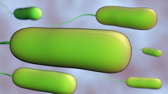 A 3d rendering of Ideonella sakaiensis is a bacterium that has unique ability to "eat" plastic. Specifically, it can break down polyethylene terephthalate (PET).