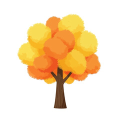 Autumn Tree with Yellow and Orange Foliage - Isolated on White Background