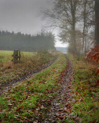 Naskaltes Schmuddelwetter in der Eifel