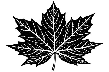 Beautiful shiloutte leaf for USA Designer © Alina